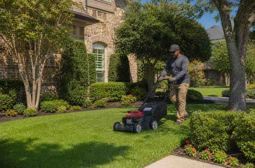 lawn care services of fort worth