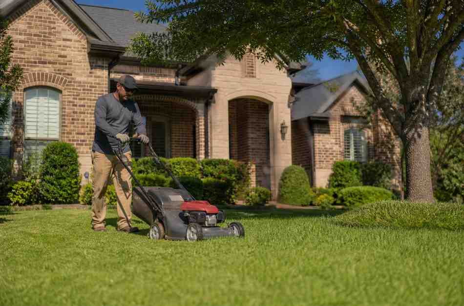 lawn care services of fort worth